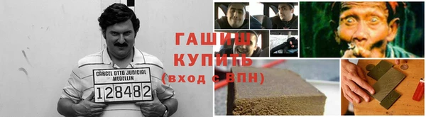 сатива Зерноград