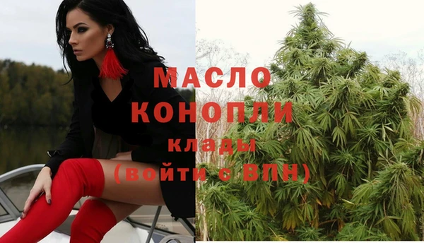 сатива Зерноград