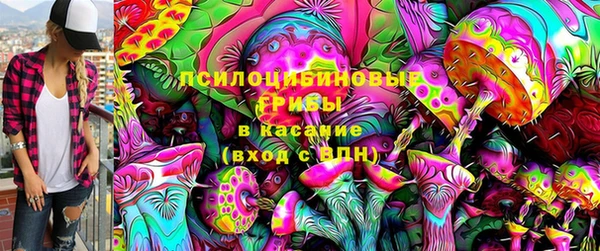 сатива Зерноград