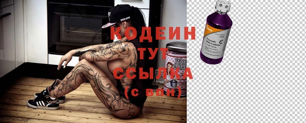 сатива Зерноград