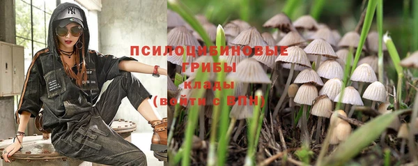 дмт Зеленодольск