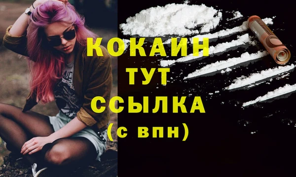 дмт Зеленодольск