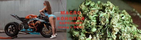 сатива Зерноград