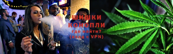 сатива Зерноград