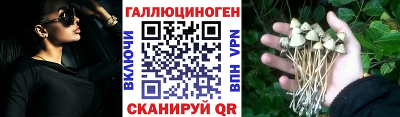 Галлюциногенные грибы Psilocybine cubensis  Купить  Фролово 
